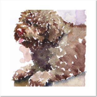 Lagotto Romagnolo Watercolor - Dog Lovers Posters and Art